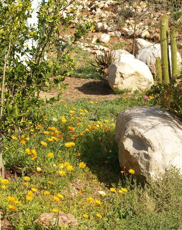 Room @ Irissa Sanctuary De Rust المظهر الخارجي الصورة